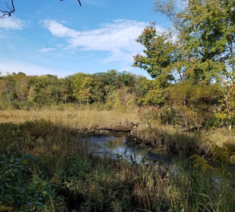 boundary-creek-natural-resource-area-photo